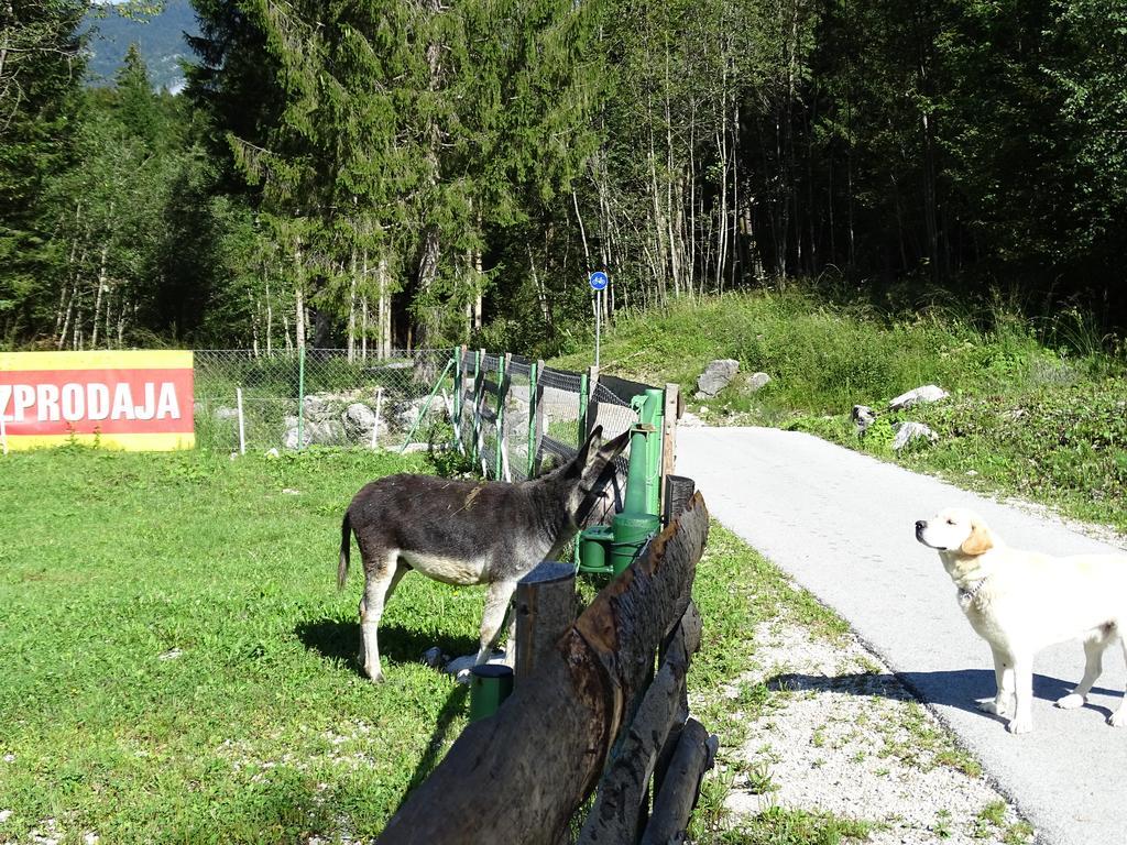 Guest House Pr'Kosnik Bohinj Esterno foto